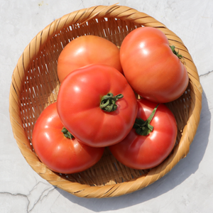 쥬스용 토마토 2kg